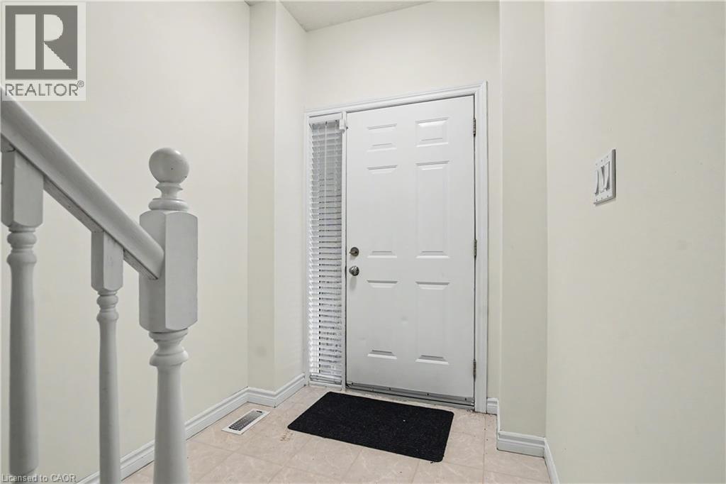 #C16 619 WILD GINGER Avenue - 7