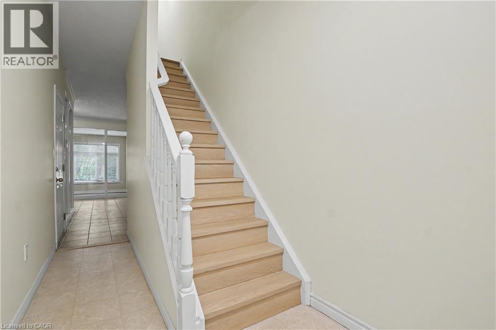 #C16 619 WILD GINGER Avenue - 8