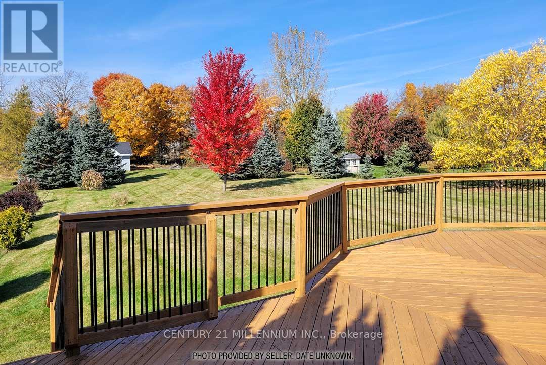 8 CASTLEWOOD COURT - 47
