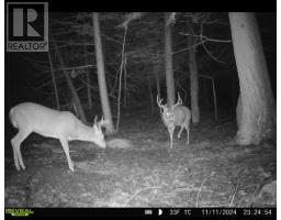 . South Of East Line Rd, Thessalon, ON P0R0A1 Photo 7