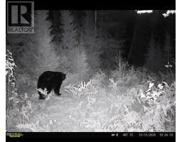 . South Of East Line Rd, Thessalon, ON P0R0A1 Photo 9