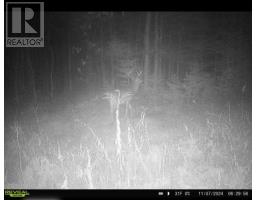 . South Of East Line Rd, Thessalon, ON P0R0A1 Photo 8