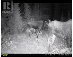. South Of East Line Rd, Thessalon, ON P0R0A1 Photo 6