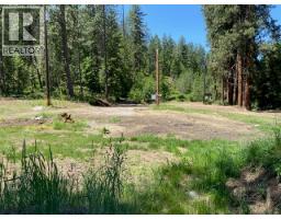 995 395 Highway, Christina Lake, BC V0H1E0 Photo 9