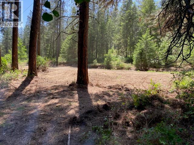 995 395 Highway, Christina Lake
