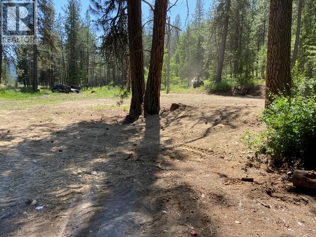 995 395 Highway, Christina Lake