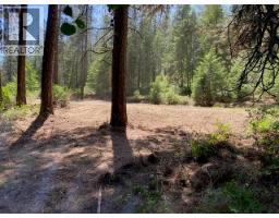 995 395 Highway, Christina Lake, BC V0H1E0 Photo 6