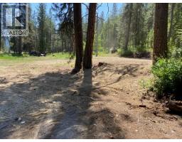 995 395 Highway, Christina Lake, BC V0H1E0 Photo 7