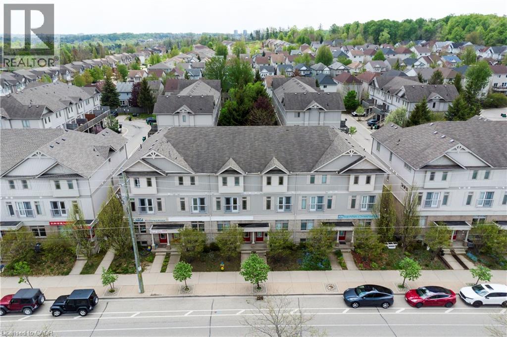 #C15 619 WILD GINGER Avenue - 1
