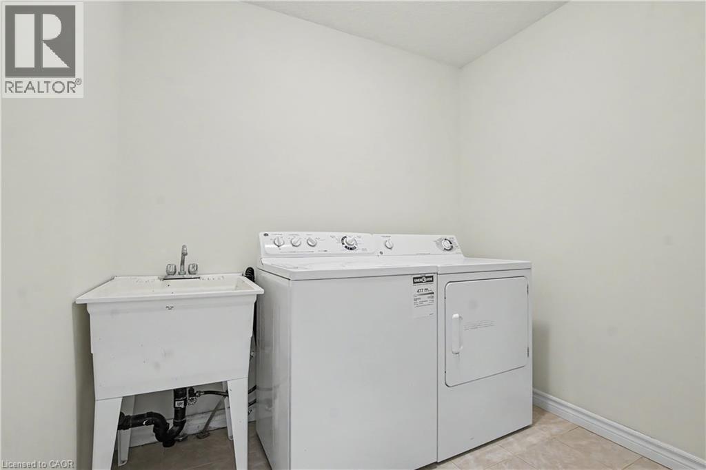 #C15 619 WILD GINGER Avenue - 17