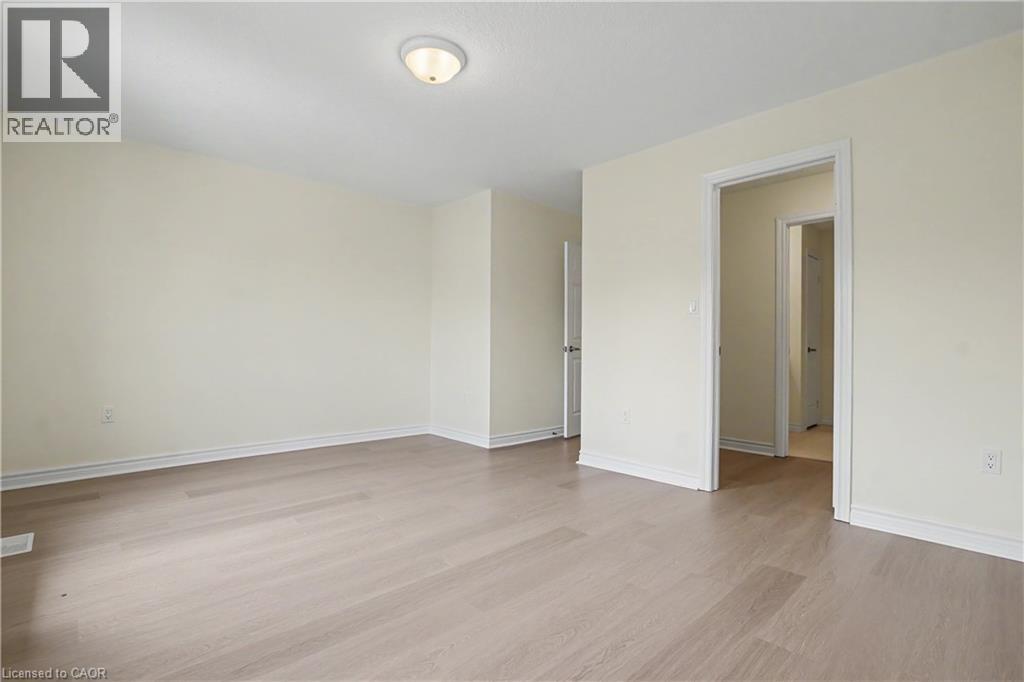 #C15 619 WILD GINGER Avenue - 21