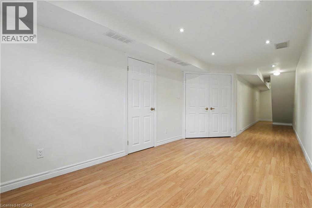 #C15 619 WILD GINGER Avenue - 23