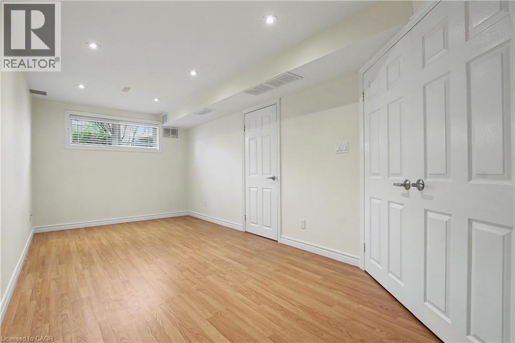 #C15 619 WILD GINGER Avenue - 24