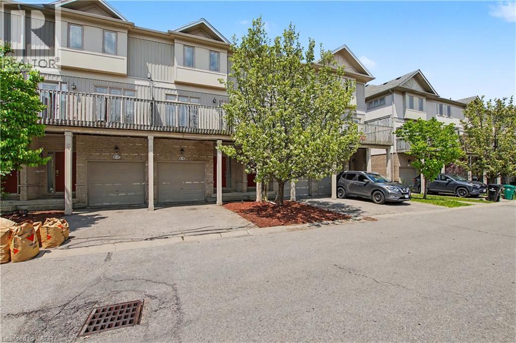 #C15 619 WILD GINGER Avenue - 3