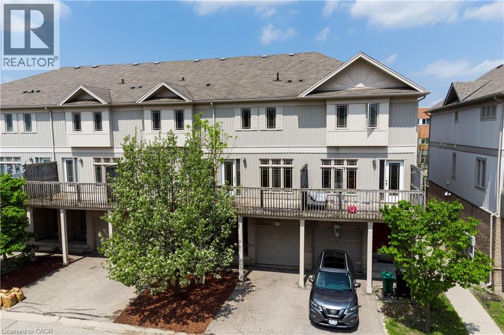 #C15 619 WILD GINGER Avenue - 30