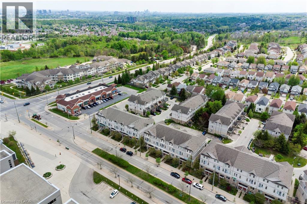 #C15 619 WILD GINGER Avenue - 31