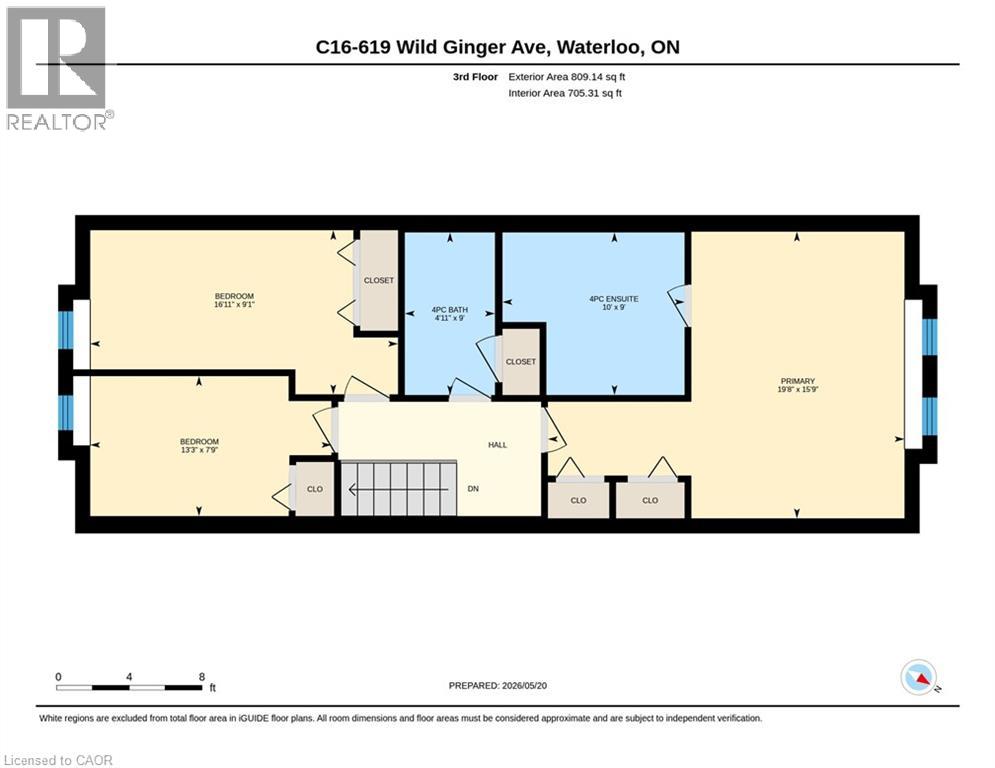 #C15 619 WILD GINGER Avenue - 35