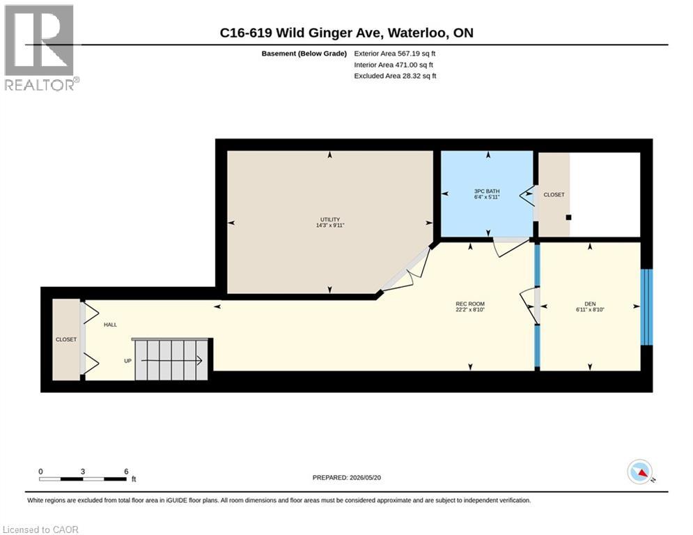 #C15 619 WILD GINGER Avenue - 36