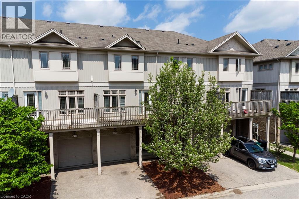 #C15 619 WILD GINGER Avenue - 6