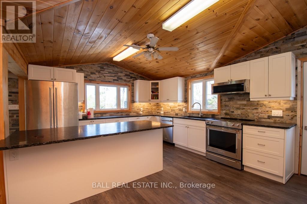 385 ISLAND 38 KASSHABOG LAKE - 4