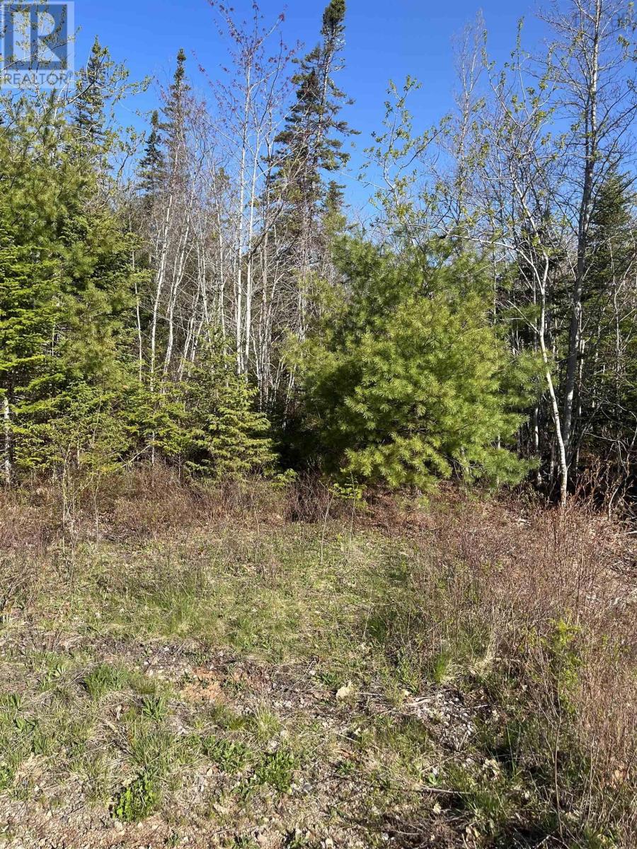 Property 2 of 8 of LOt 2 Ridge Road