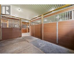 8284 Indian Trail, Guelph/eramosa, ON N0B2K0 Photo 34
