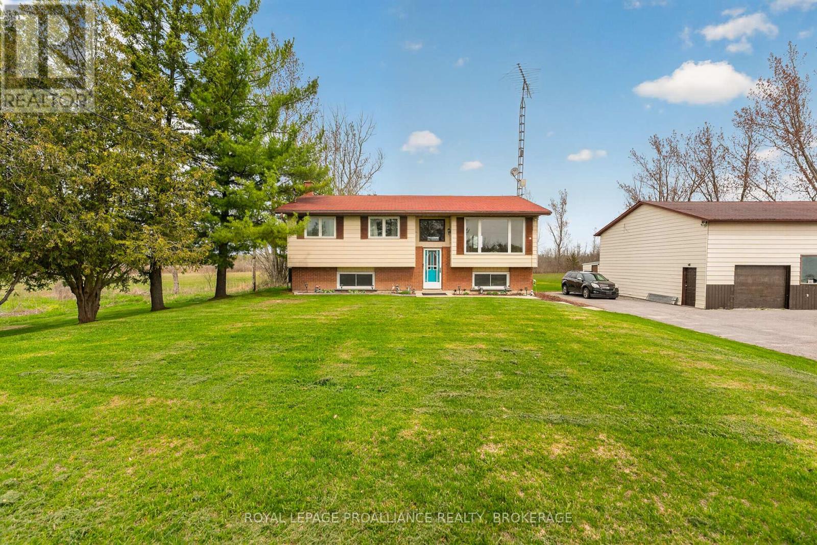 261 SHANE STREET - 5