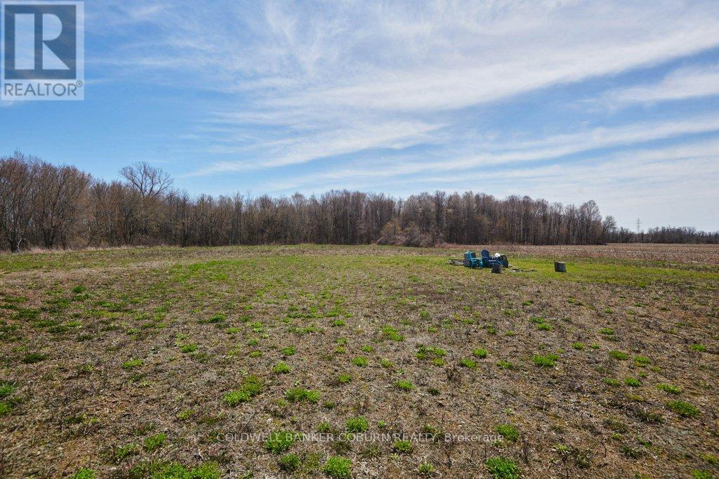 12340 FOREST ROAD - 35