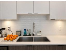 418 20061 Fraser Highway, Langley, BC V3A0R4 Photo 9