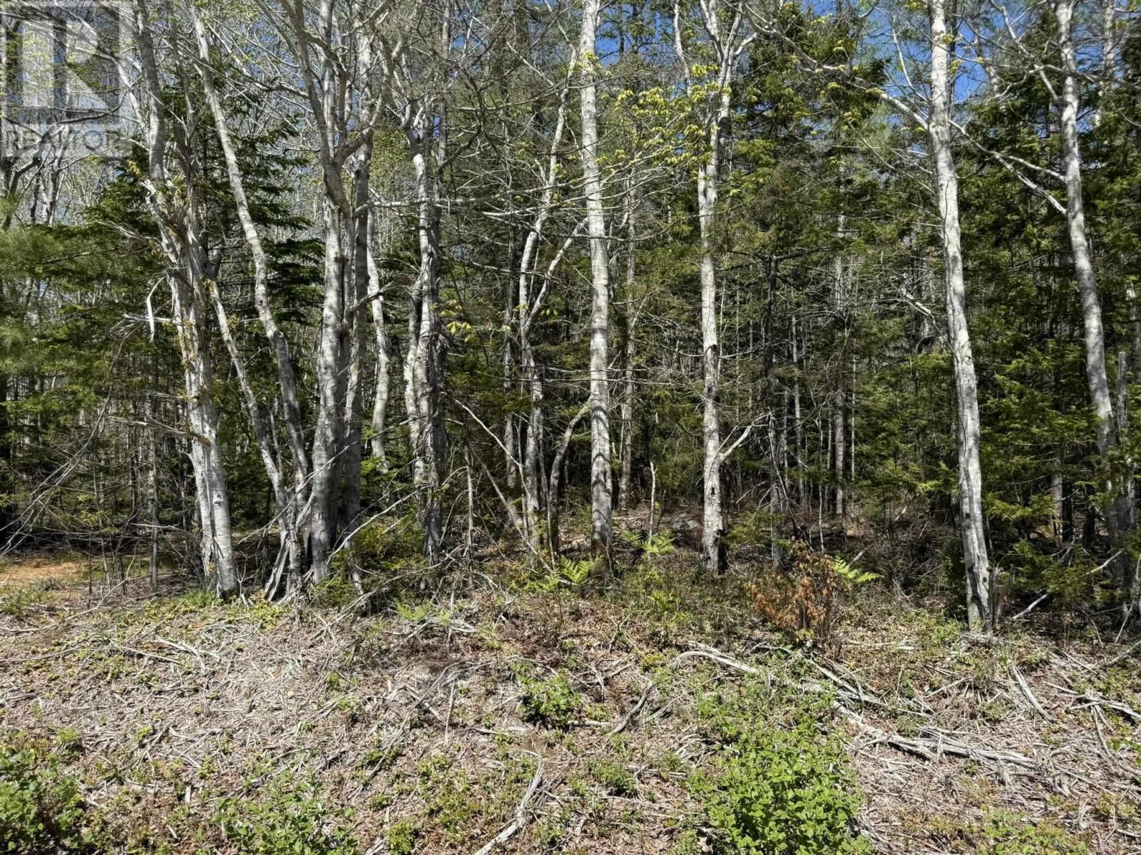 Property 8 of 14 of Lot 1-A Gavel Road