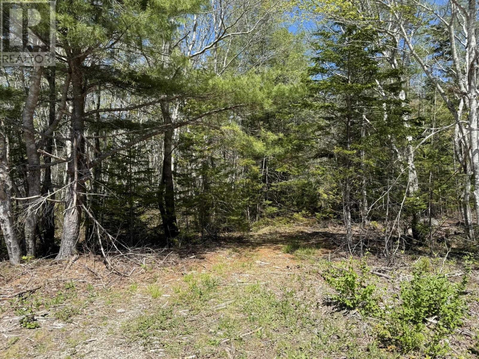 Property 11 of 14 of Lot 1-A Gavel Road