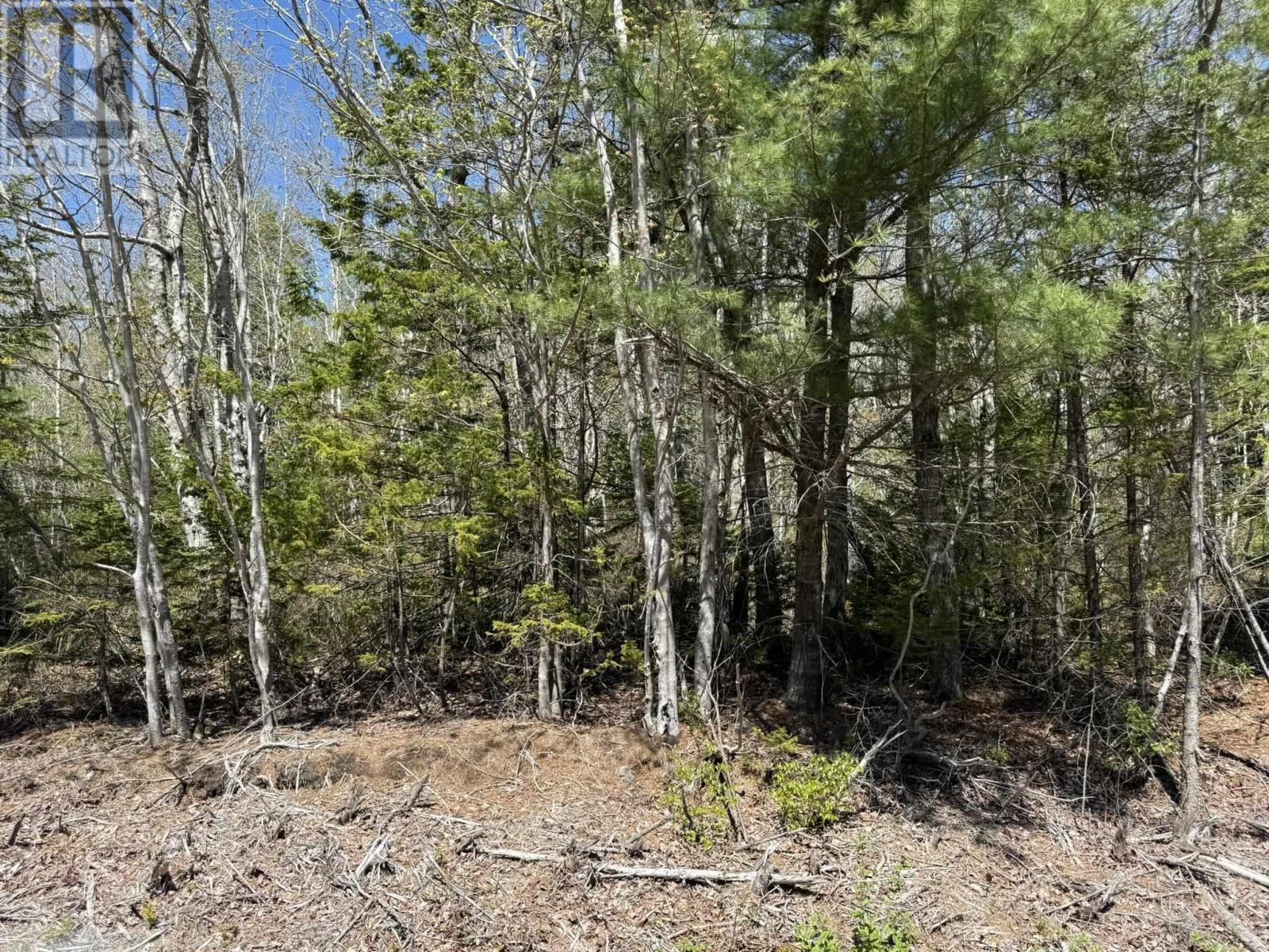 Property 4 of 14 of Lot 1-A Gavel Road