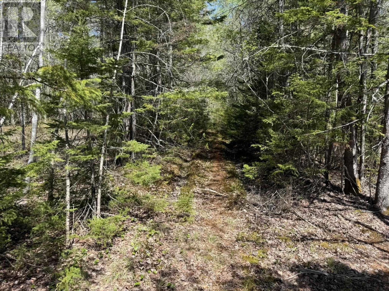 Property 3 of 14 of Lot 1-A Gavel Road