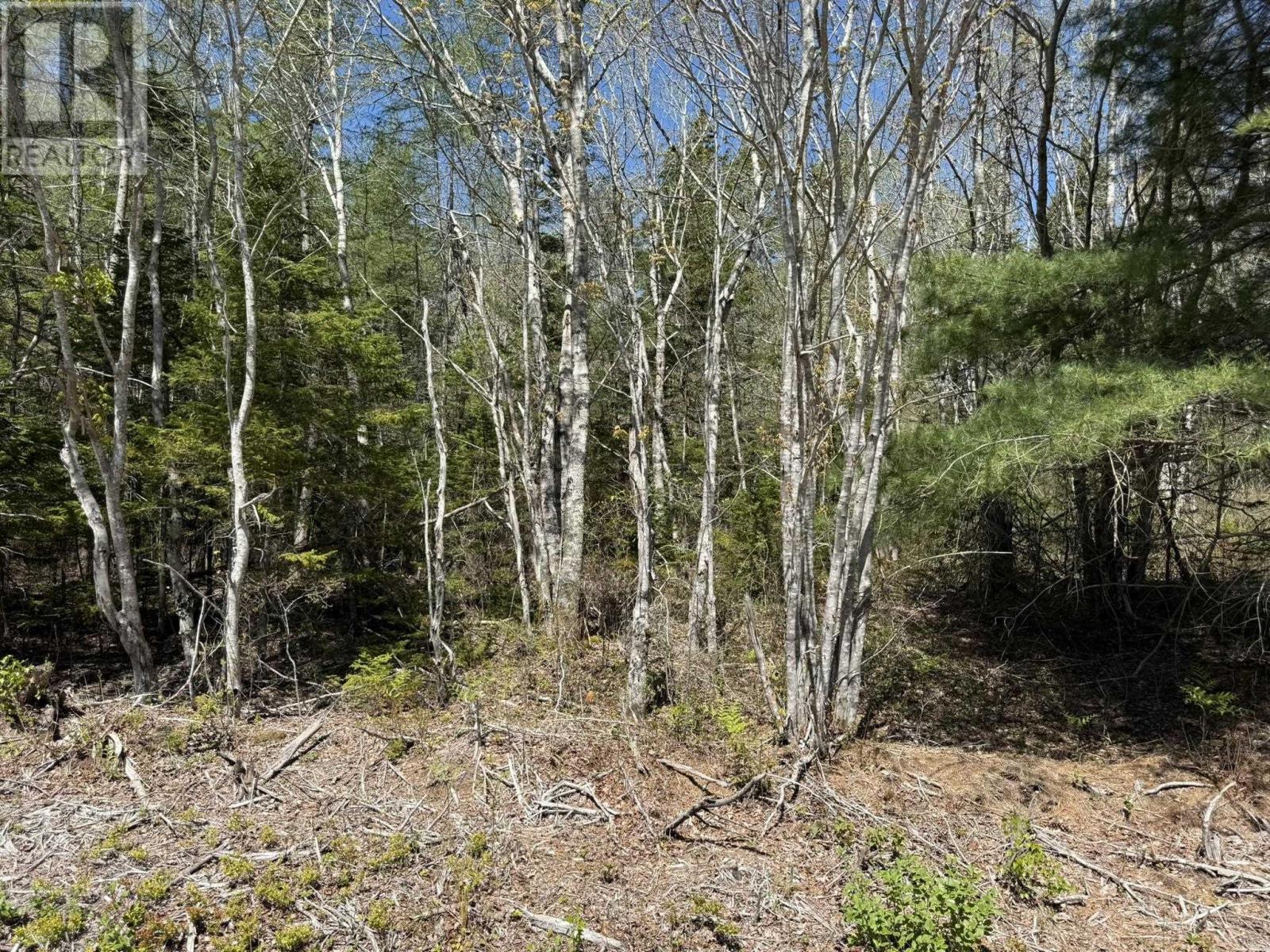 Property 7 of 14 of Lot 1-A Gavel Road