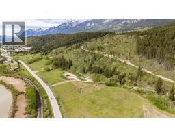 3657 95 Highway, Parson, BC V0A1H4 Photo 18
