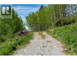 3657 95 Highway, Parson, BC V0A1H4 Photo 50