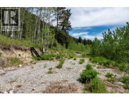 3657 95 Highway, Parson, BC V0A1H4 Photo 52