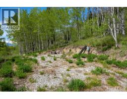 3657 95 Highway, Parson, BC V0A1H4 Photo 51