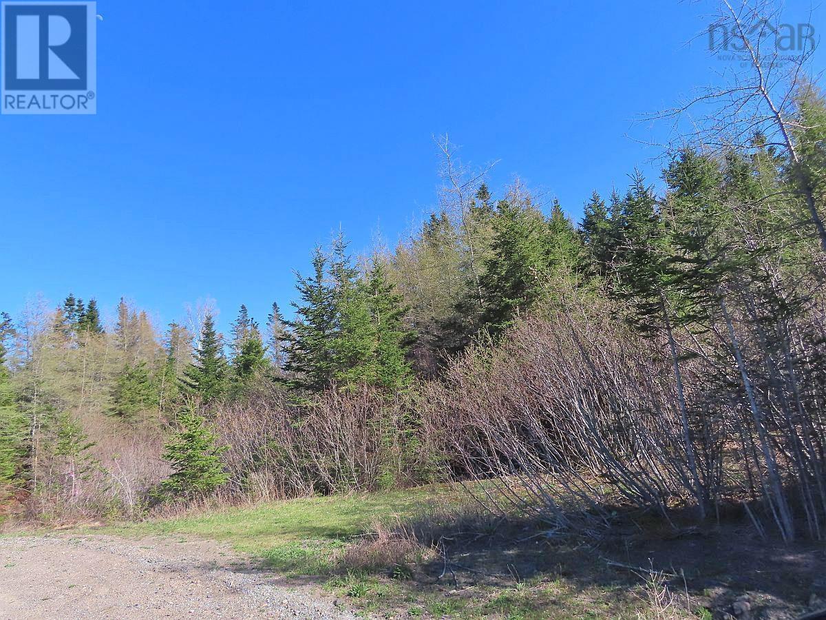 Property 2 of 31 of Lot 3 Rear Big Cove Road