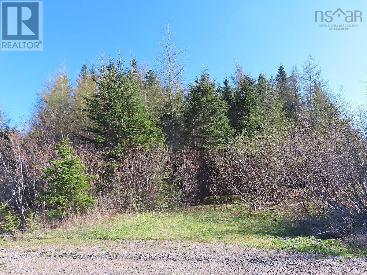 Property 3 of 31 of Lot 3 Rear Big Cove Road