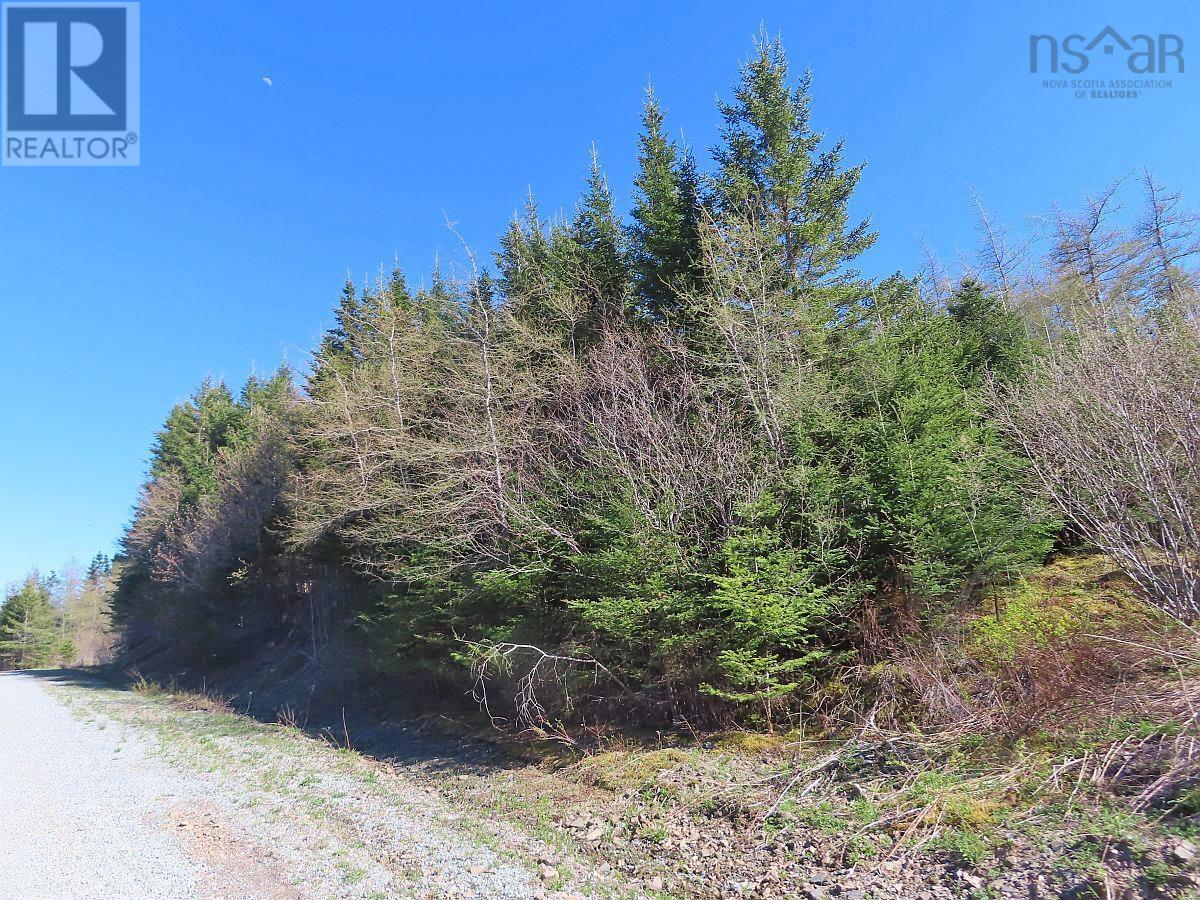 Property 4 of 31 of Lot 3 Rear Big Cove Road