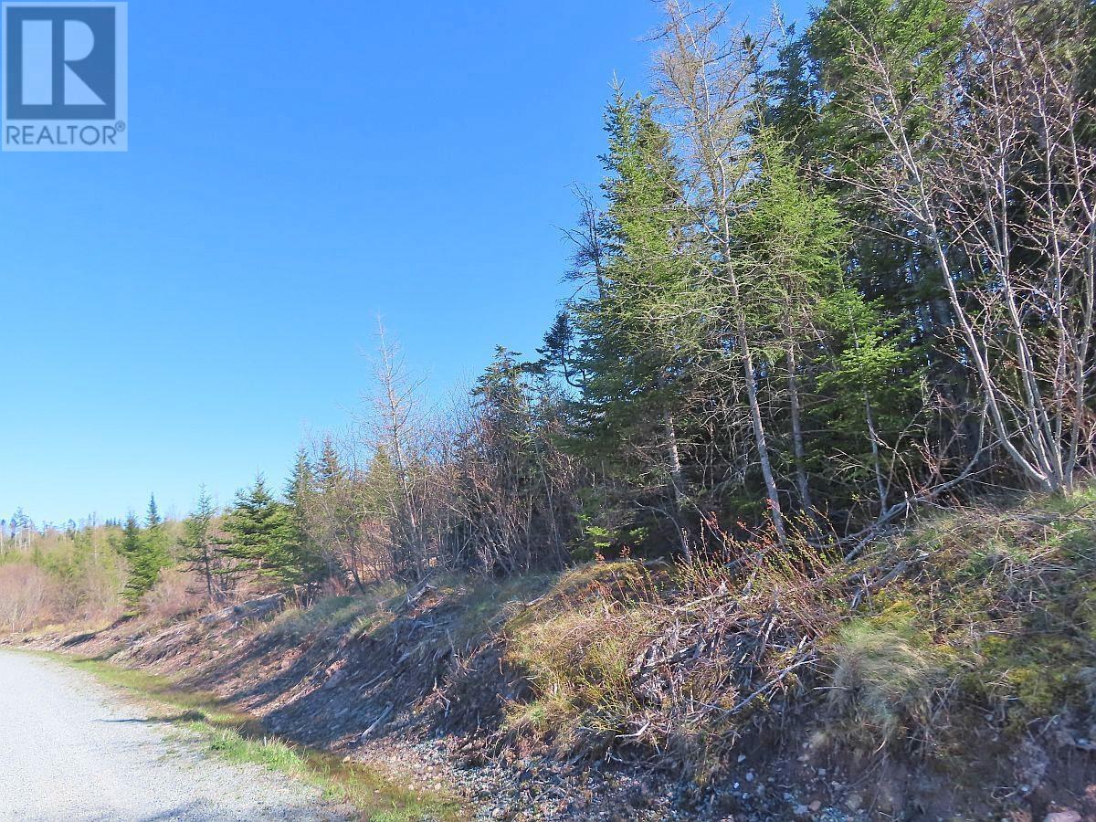 Property 6 of 31 of Lot 3 Rear Big Cove Road
