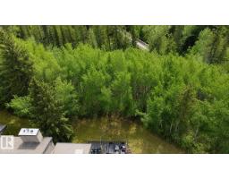 76 Willow Wy Nw, Edmonton, AB T5T1C8 Photo 42