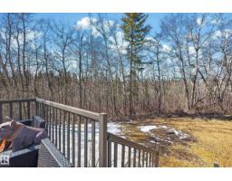 76 Willow Wy Nw, Edmonton, AB T5T1C8 Photo 43
