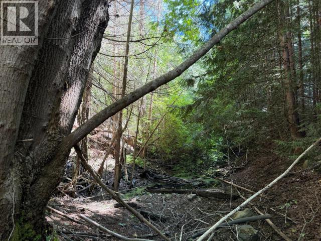 1902 MARBLE BAY ROAD - 19