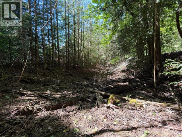 1902 MARBLE BAY ROAD - 20