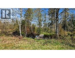 80 Saint Pierre, Rogersville, NB E4Y1L5 Photo 31
