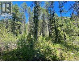 Lot 4 Strathmore Avenue Lot# 4, Greenwood, BC V0H1J0 Photo 14
