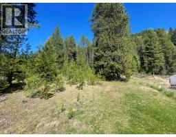 Lot 4 Strathmore Avenue Lot# 4, Greenwood, BC V0H1J0 Photo 13