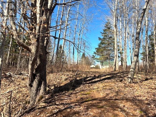 2217 Old Mill Road - 9